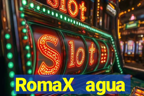 RomaX agua sanitaria fispq agua sanitaria romax